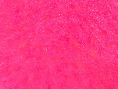 Polygood Recycled Plastic Worktop Translucent Pink